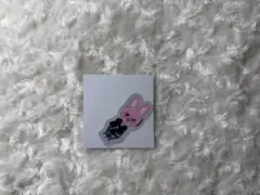 【いいね不要】StrayKids SKZOO チャンビン ステッカー