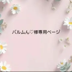 パルムん♡様専用ページ