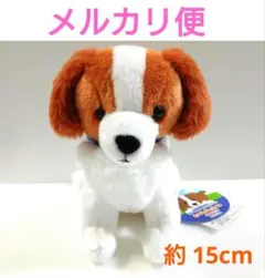 2025年最新】コーイケルホンディエのおでこちゃんの人気アイテム