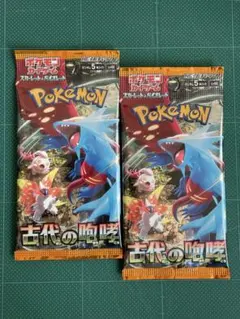 たぶんノーマルのパックですセット