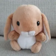 ちゅぱちゅぱうさぎ足のこっせつしたぬいぐるみ - メルカリ