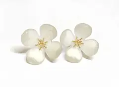【新品】 シアーフラワーイヤリング ホワイト　お花　白　イヤリングのサムネイル