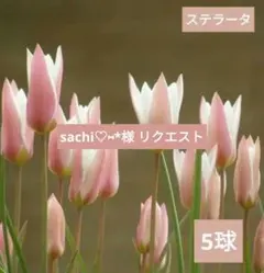 sachi♡⑅*様 リクエスト 4点 まとめ商品