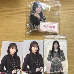 櫻坂46 向井純葉　ウエハース、クーポン、アクリルバッジセット