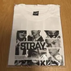 Stray Kids RUN IT Tシャツ 公式 フリーサイズ - メルカリ