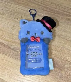 レイン　トレカケース　JOCHUM