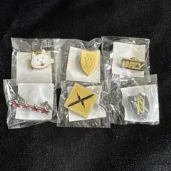 BUMP OF CHICKEN ピンバッチ 6個セット