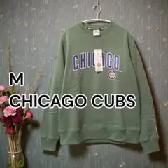 Item thumbnail for item f2b7ccb1-5d3e-4be1-adf6-166a53102dd9