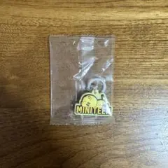 SEVENTEEN MINITEEN めじるしアクセサリー ホシ