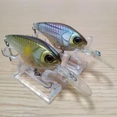 ジャッカル　ジェイコ　JACO MR