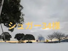 シュガー34様ご希望
