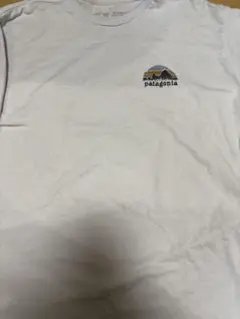 patagonia Lサイズ Tシャツ 山デザイン