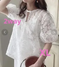 前後2wayフラワー刺繍レースブラウス　X-LARGE