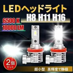 ヘッドライトH8 H11 H16 フォグランプ LED ホワイト バルブ 車のサムネイル