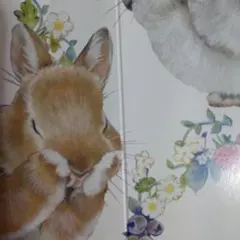 しーちゃん様専用です(⁠◍⁠•⁠ᴗ⁠•⁠◍⁠)⁠✧⁠*⁠。