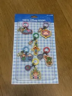 東京ディズニーリゾート めじるしチャーム 6個セットのサムネイル