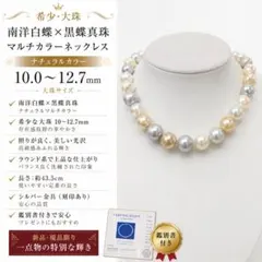 希少ロング81cm 天然南洋白蝶真珠 14.9mm 大珠 ナチュラルホワイト 