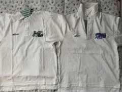 Item thumbnail for item e1f2dcb6-60cc-4023-b387-1a33437e5f09