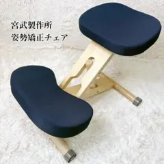 2026年最新】バランスチェア 宮武の人気アイテム - メルカリ