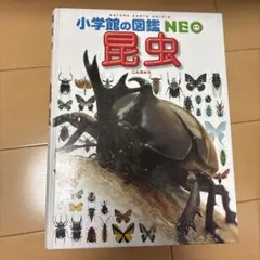 小学館の図鑑NEO 昆虫のサムネイル