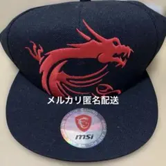 MSI マイクロスターインターナショナル　オリジナル　キャップ