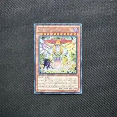 2025年最新】SOPhiA シークレットの人気アイテム - メルカリ