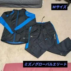 Item thumbnail for item 76b8fcc6-6cdb-49fd-879c-db74f27d2874