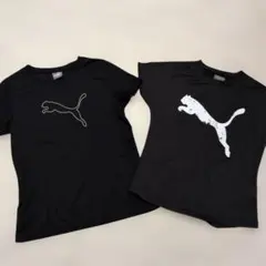 PUMA 半袖Tシャツ 2枚セット ブラック スポーツウェア 速乾性Tシャツのサムネイル