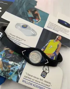 Item thumbnail for item 94dfc9d5-3c84-4869-bea7-6e595483b22f