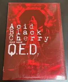 Acid Black Cherry 2009 tour Q.E.D.