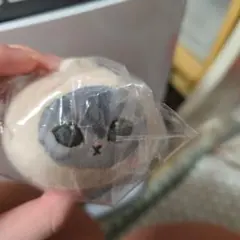 mofusand 猫のキーホルダー