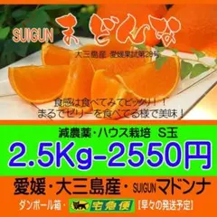 SUIGUNマドンナS玉2.5Kg　ハウス栽培・とろ～りゼリー触感が美味！