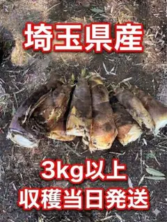 2026年最新】埼玉県2の人気アイテム - メルカリ