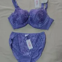 トリンプ 恋するブラ セット パープル E75 L