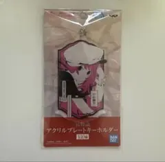 藤ちょこ アクリルオーナメント 水刀 - メルカリ