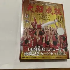 【1-215】カープ ☆2016 セントラルリーグ 優勝記念プレート☆ (新品) 18c31a333d6ffc0a625da44c257d54