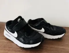 Item thumbnail for item 9fa57be7-4646-4116-bb57-d2511bea3067