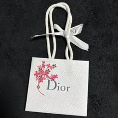 Dior 限定　ショップ袋