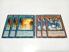 ドラグニティクーゼ　竜の渓谷　6枚セット　　遊戯王