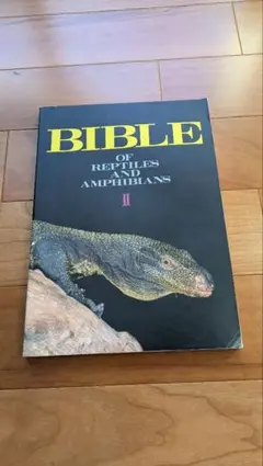 Item thumbnail for item 7123910b-ea89-42f4-b700-a9b93b473f2c