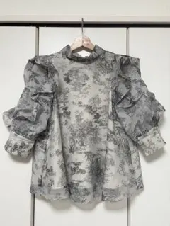 SNIDEL オーガンジーシースルーハーフスリーブブラウス トワルドジュイ