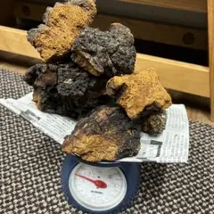 Item thumbnail for item a46da4a5-abee-4b19-aad9-5ff9ed6dd3a8