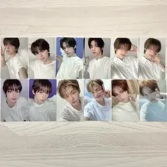 TWS play hard Compact 封入 トレカ 12枚 コンプ