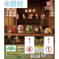 【未開封】　お茶犬　まちぼうけ　5個セット