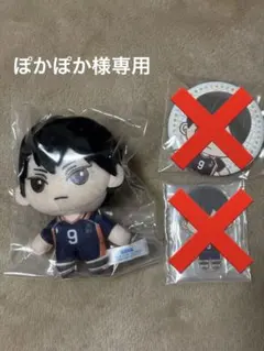 ハイキュー‼︎影山飛雄ぬいぐるみのみ