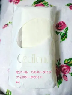 Item thumbnail for item 07017f4a-8a5d-4637-825b-be0a7be56e43