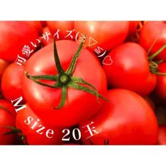 クロエリ様　専用　12/30 M