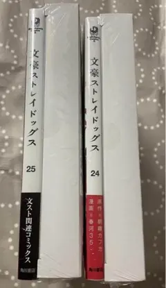 文豪ストレイドッグス ダヴィンチストア 限定アクリルパネル 24巻 & 25巻