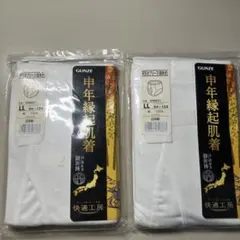 GUNZE 快適工房 天引きブリーフ 2枚セット LLサイズ