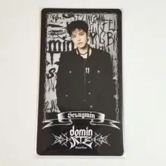 Stray Kids dominATE スペシャルトレカ スンミン